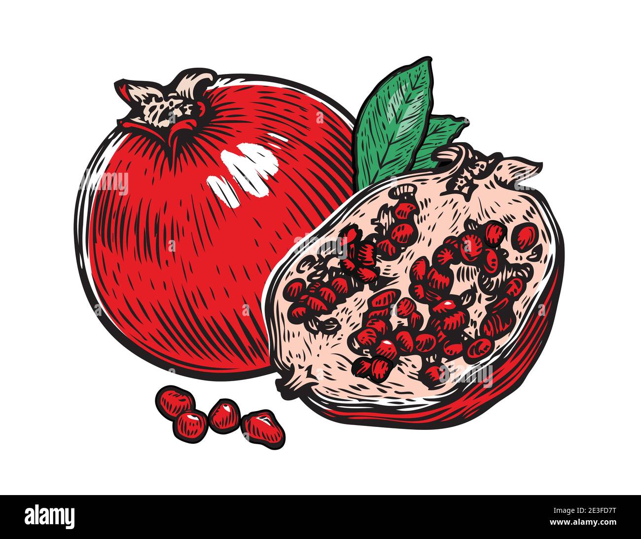 Vettore di frutta di melograno. Intero, mezzo frutto e grano di granato Illustrazione Vettoriale
