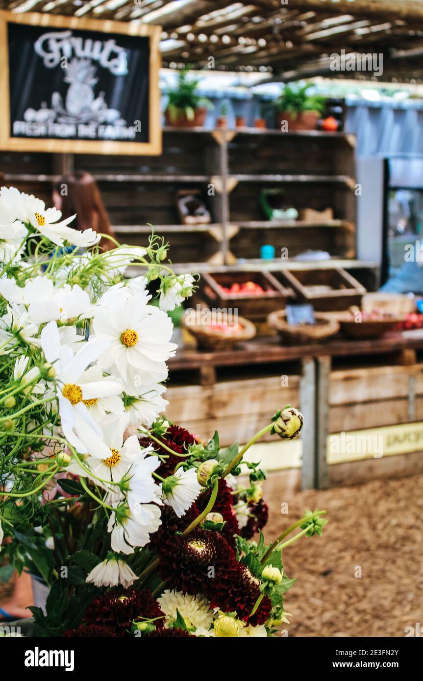 Primo piano di fiori bianchi che vengono venduti al mercato agricolo di Oranjezicht City a Città del Capo, Sud Africa Foto Stock