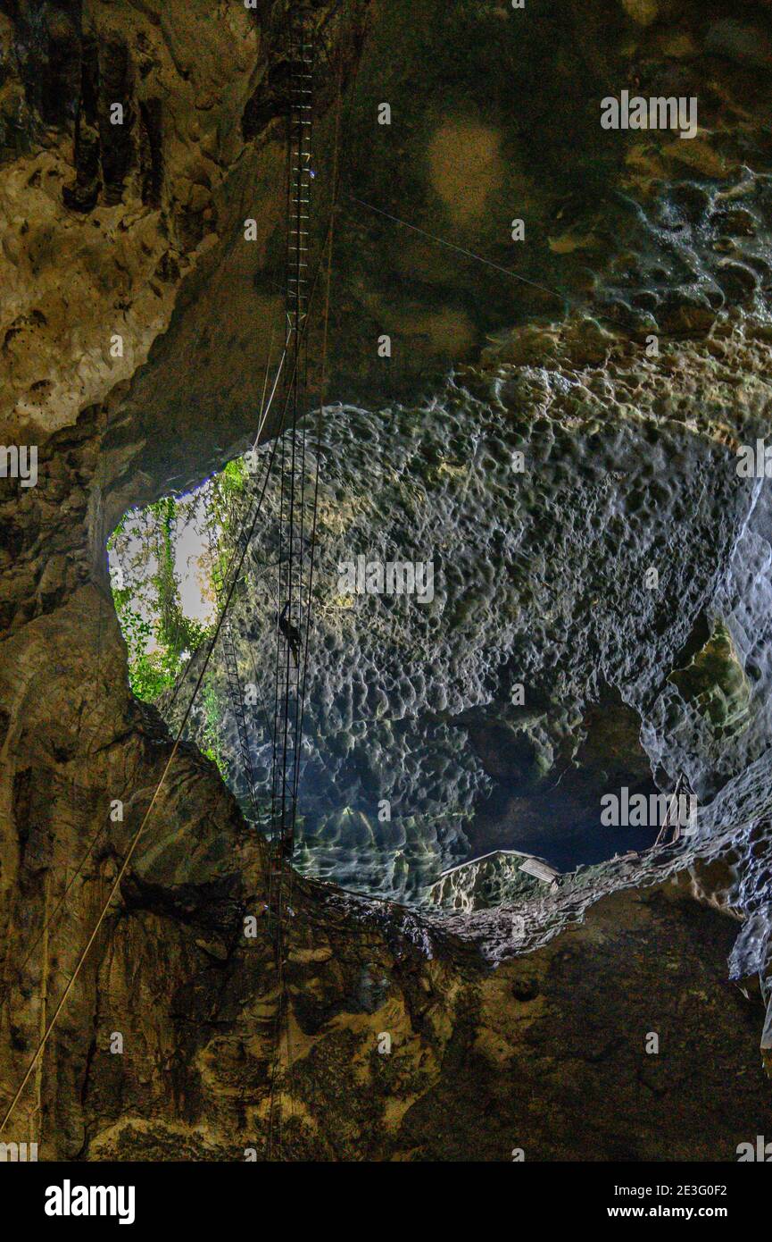 uomo che sale su una scala alta per raccogliere nidi di uccelli Per zuppa di nido d'uccello cinese Foto Stock