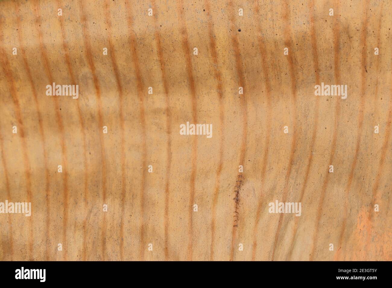 Secco banana foglia di sfondo modello, foglie di banana secco Foto Stock