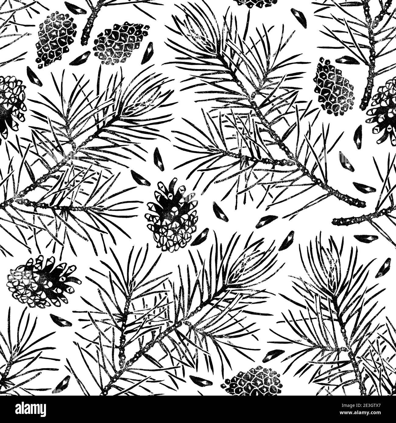 Pino senza cuciture modello isolato su bianco. Pinus sylvestris ramo, cono, seme. Illustrazione botanica disegnata a mano Foto Stock