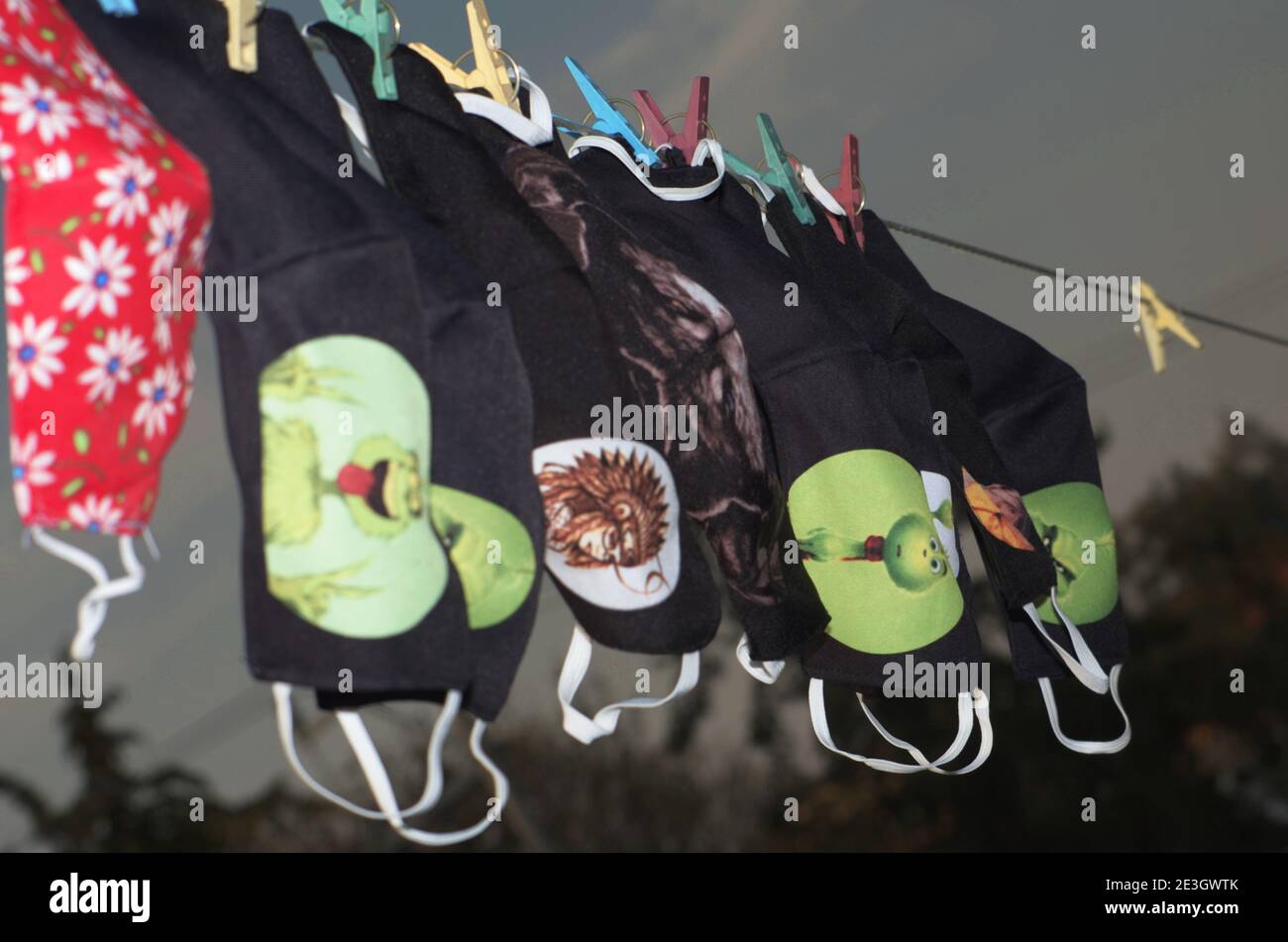 19 gennaio 2021: 18 gennaio 2021 Messico, Messico. Nell'attuale pandemia COVID-19, indossare maschere o maschere per il viso è diventato essenziale, per ridurre il contagio e diffondersi attraverso microscopiche goccioline nell'aria quando si parla, attraverso uno starnuti o tosse da una persona infetta. Le maschere igieniche (cioè, non-mediche; anche chiamate stoffa) sono fatte da una varietà di tessuti tessuti da materiali come polipropilene. Utilizzando una maschera, sia medica che igienica, l'obiettivo è quello di evitare la trasmissione di agenti infettivi, come il ''Coronavirus SARS-COV-2'', causando la malattia chiamata COVID-19. PHOT Foto Stock