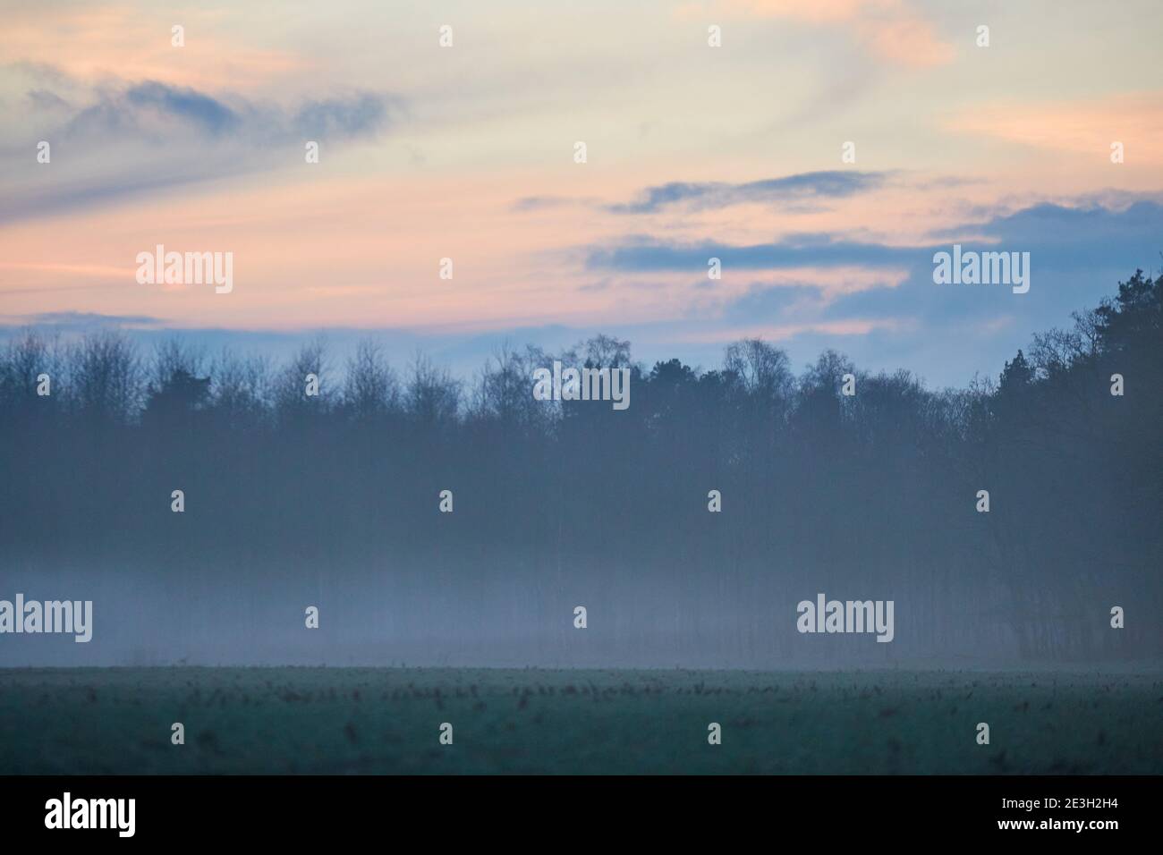 Paesaggio in serata con nebbia e tramonto Foto Stock