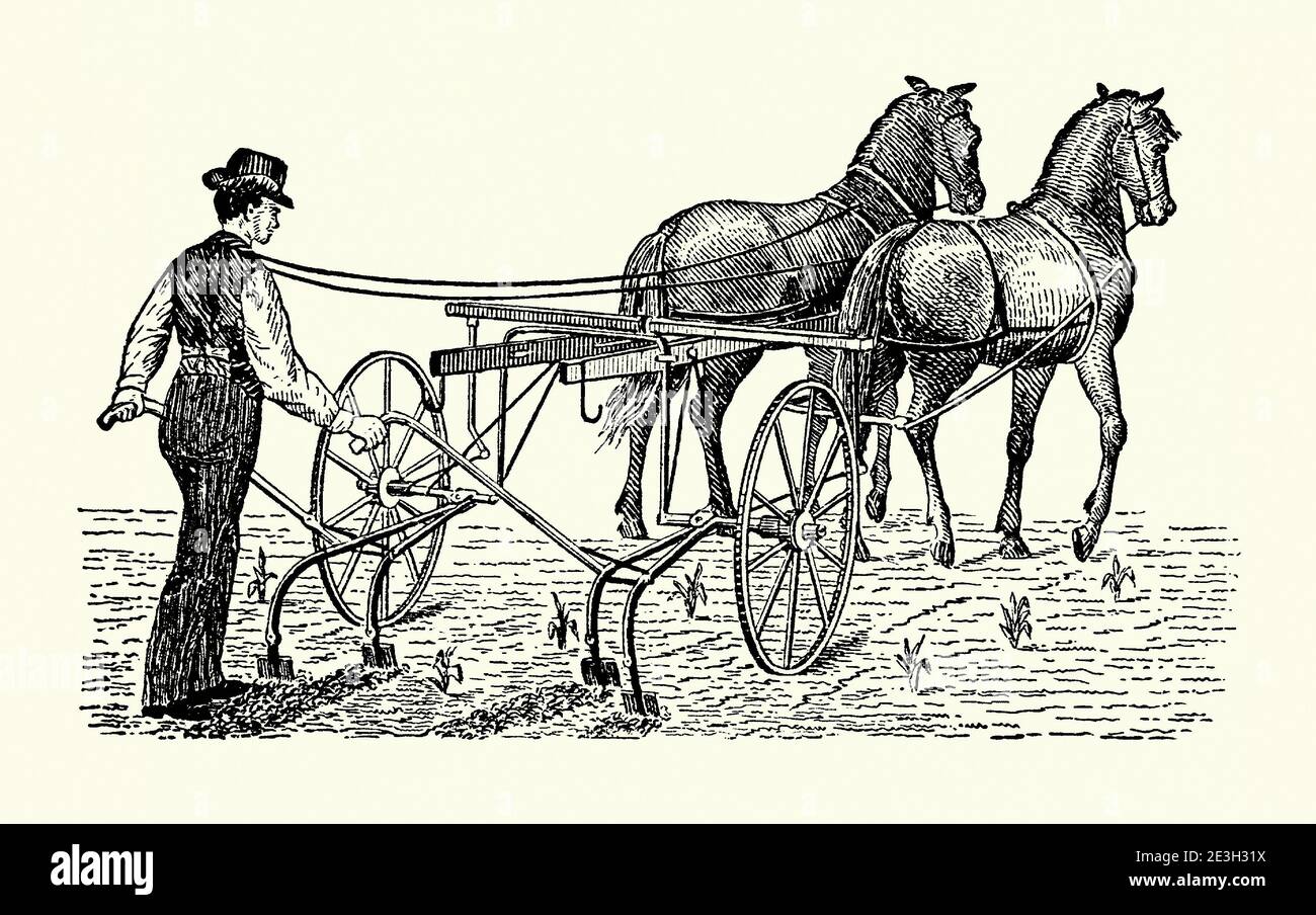 Una vecchia incisione di un coltivatore a cavallo. E 'da un libro di ingegneria meccanica vittoriana del 1880. Un coltivatore è un tipo di attrezzo agricolo utilizzato per agitare, coltivare e preparare il terreno pronto per la semina o per disturbare il terreno tra le file di raccolto per disgregare la crescita delle erbacce. Il nome può riferirsi a telai con denti (anche chiamati scricchiolature) che perforano il terreno mentre vengono trascinati attraverso di esso. Alcune macchine utilizzano dischi o denti rotanti per ottenere lo stesso risultato. Le coltivatrici a piedi sono state sostituite da versioni più pesanti e con operatore a bordo, specialmente in cui i campi erano più grandi. Foto Stock