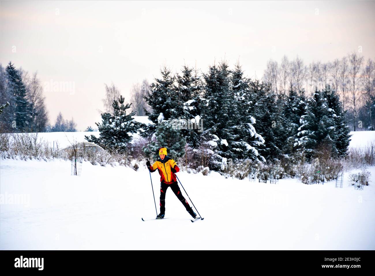 Sci di fondo nordico per bambini o bambini su una pista in uno splendido paesaggio invernale delle meraviglie in inverno nella foresta, sport all'aperto, vita sana Foto Stock