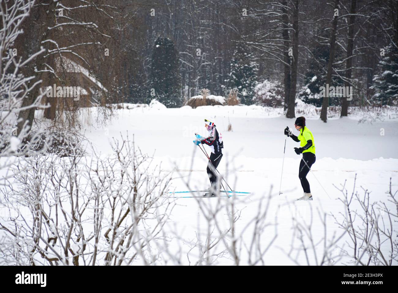 Coppia di atleti ragazze o donne sciatori sci di fondo nordico su una pista in bellissimo paesaggio wonderland invernale in inverno, foresta, all'aperto Foto Stock