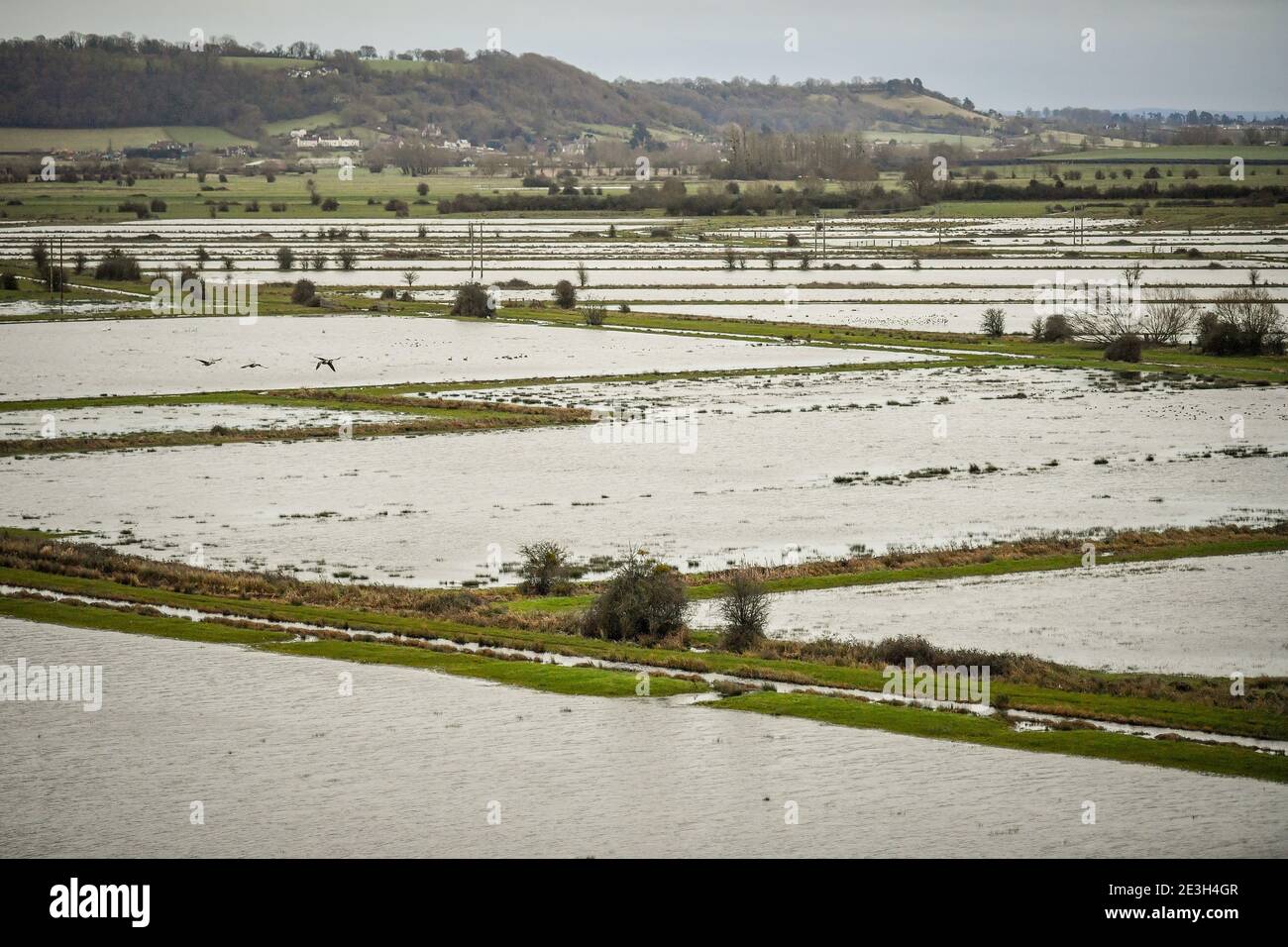 Campi allagati attraverso i livelli del Somerset vicino a Burrowbridge, dove l'acqua di superficie è già alta in luoghi. Data immagine: Martedì 19 gennaio 2021. Foto Stock