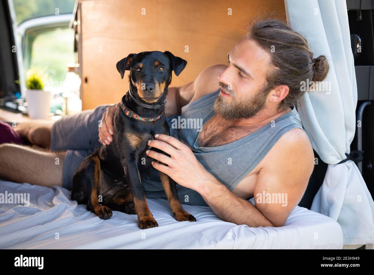 Il cane di Terrier accanto al suo proprietario all'interno di un camper Foto Stock