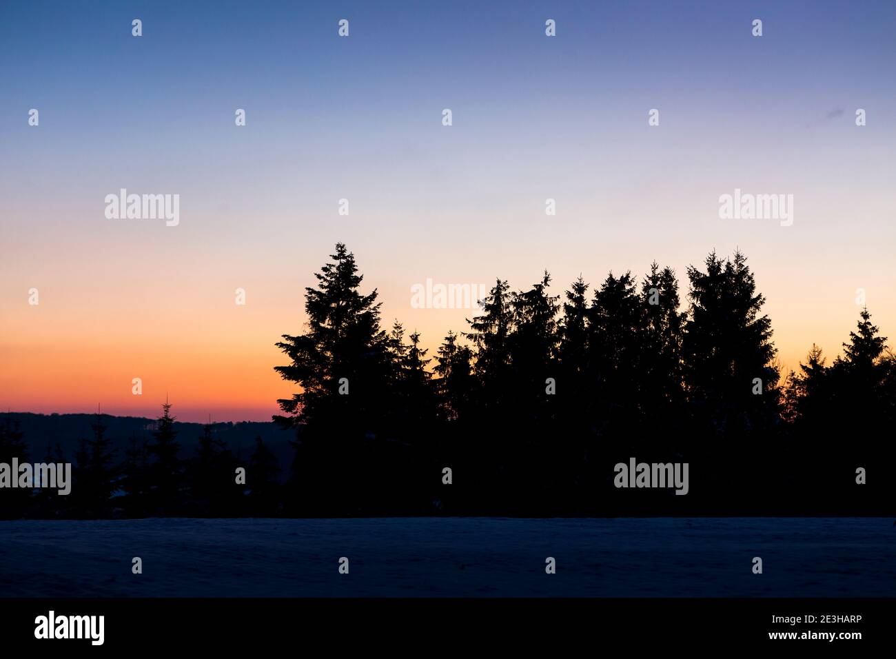 La silhouette dell'albero con un cielo colorato del tramonto in una fredda serata invernale, Lussemburgo, Europa Foto Stock