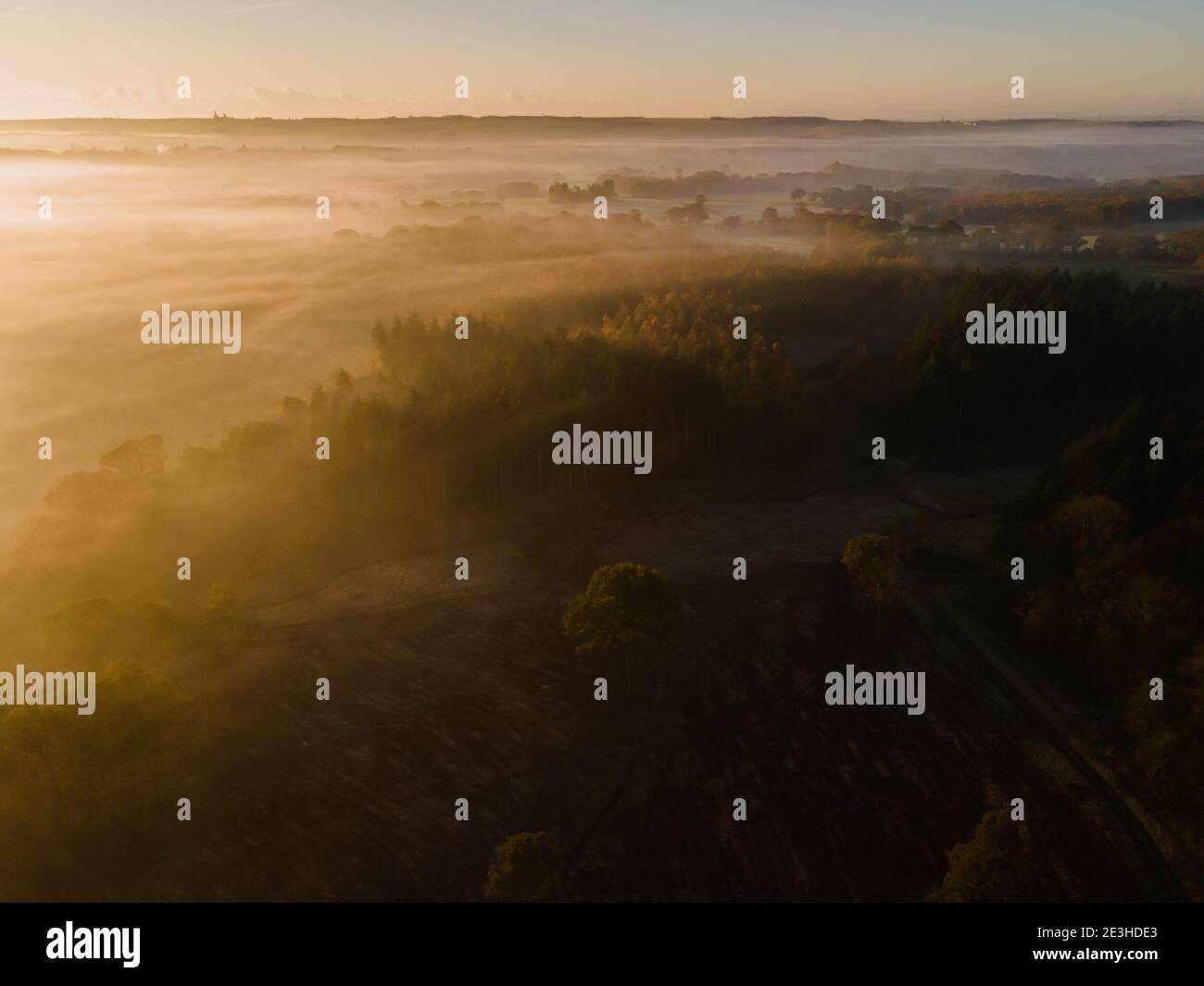 Bella nebbia d'autunno sulla campagna a Sunrise, vicino a Wickham, Hampshire, Regno Unito. Foto Stock