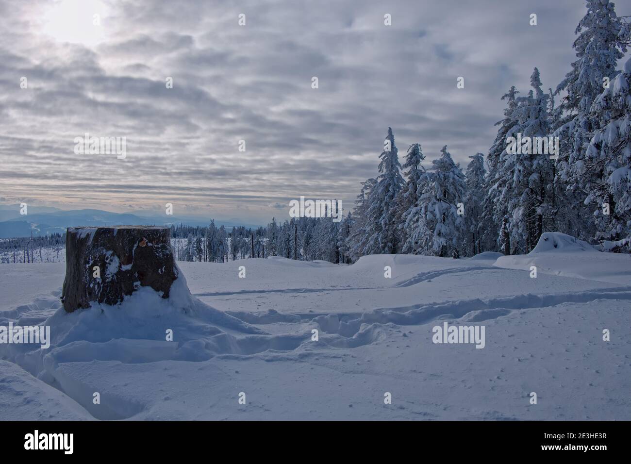 Inverno in montagna, Beskids silesiani. Foto Stock