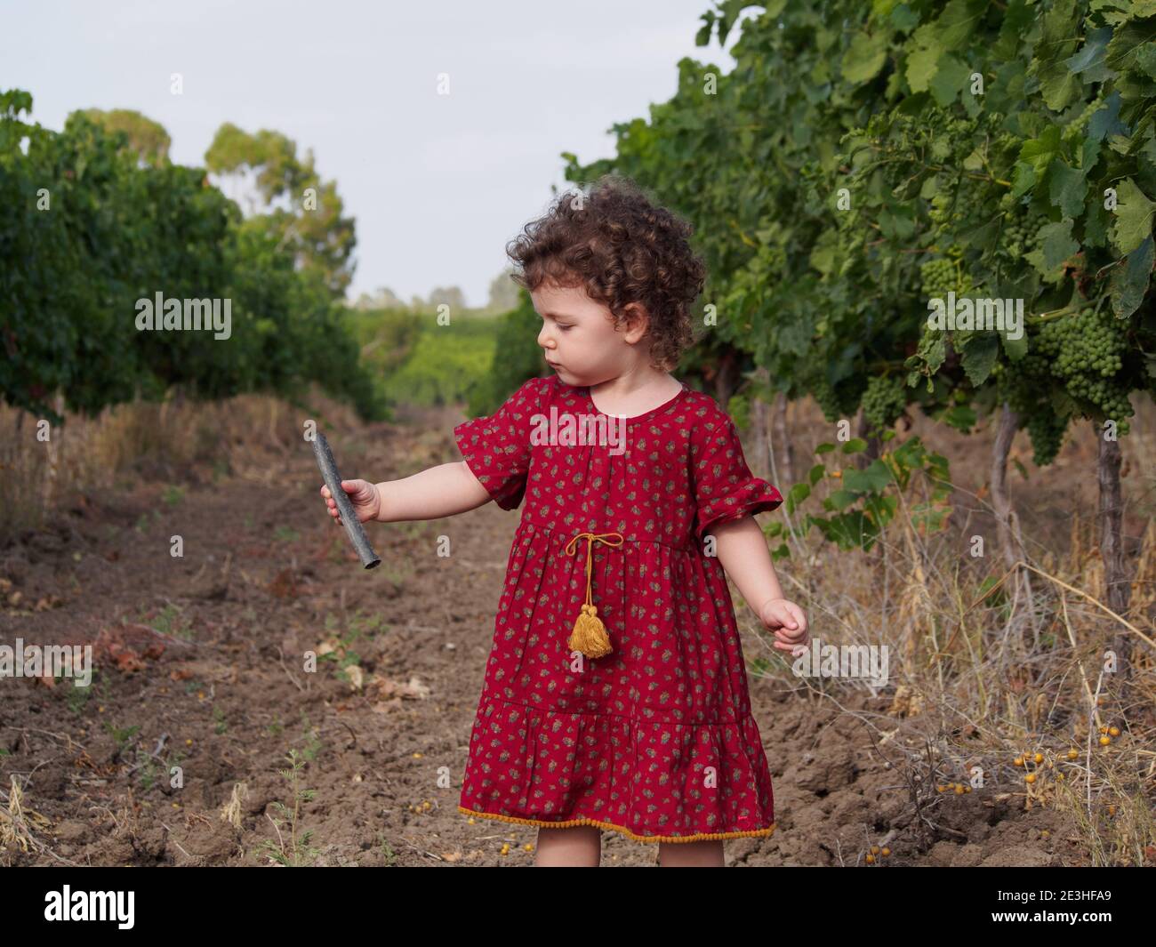 La ragazza del toddler gioca all'aperto nel frutteto dell'albero degli agrumi Foto Stock