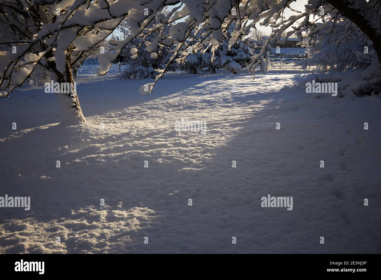 Il sole del pomeriggio fluisce attraverso il cancello della fattoria e si accende woodland sulla brughiera in Yorkshire Foto Stock