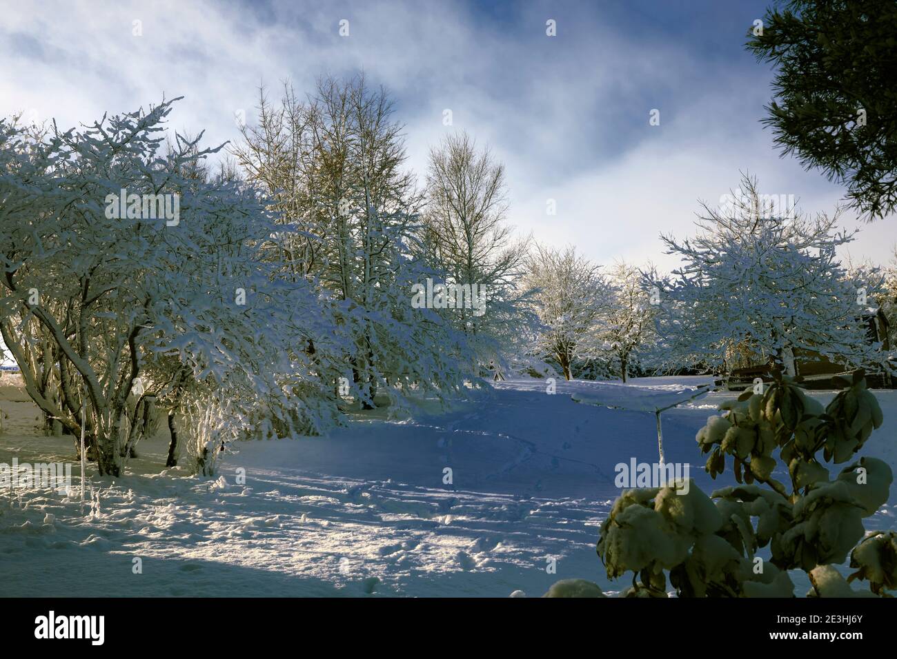 Con il sole luminoso del mattino, immagini di nevicate pesanti nel giardino della piccola brughiera nello Yorkshire Foto Stock