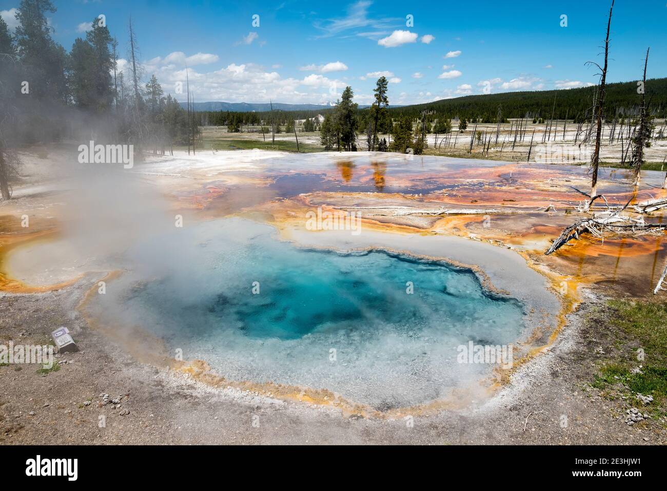 Sorgenti termali di Silex, Parco Nazionale di Yellowstone, Wyoming USA. Foto Stock