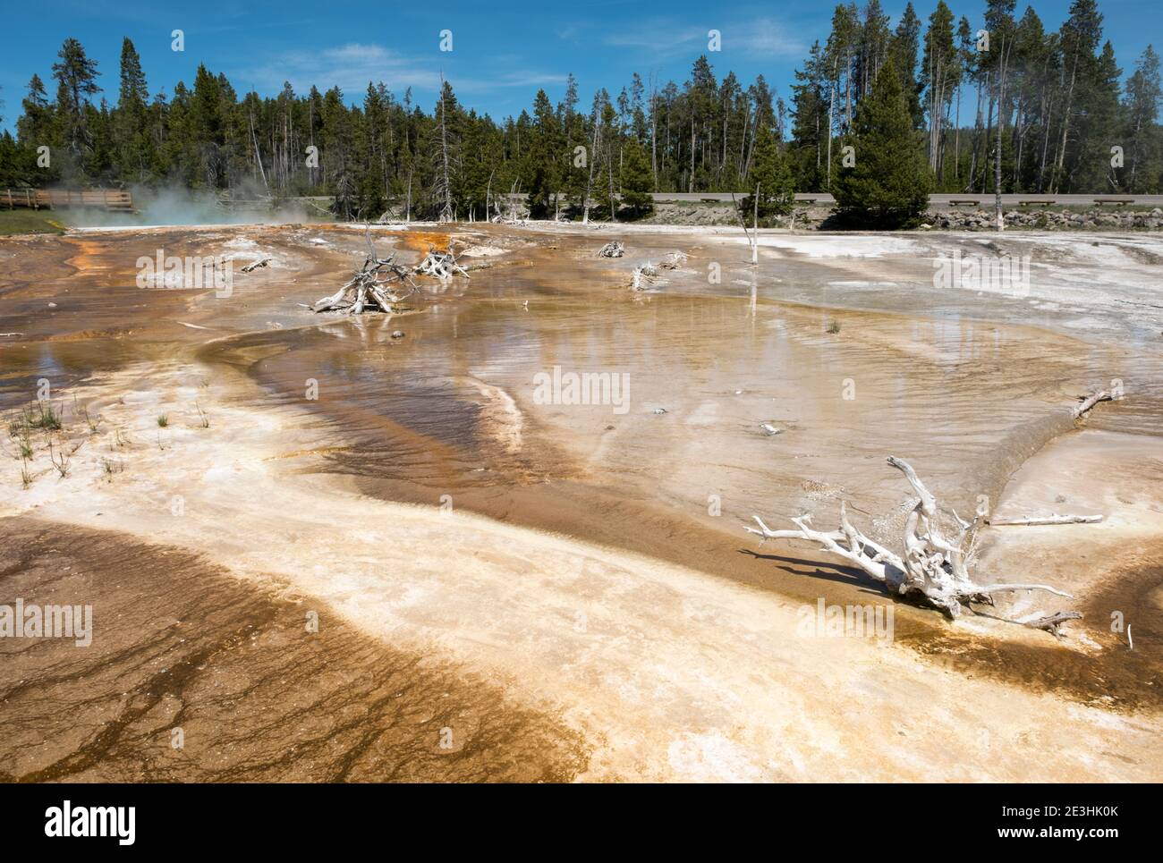 Sorgenti termali di Silex, Parco Nazionale di Yellowstone, Wyoming USA. Foto Stock