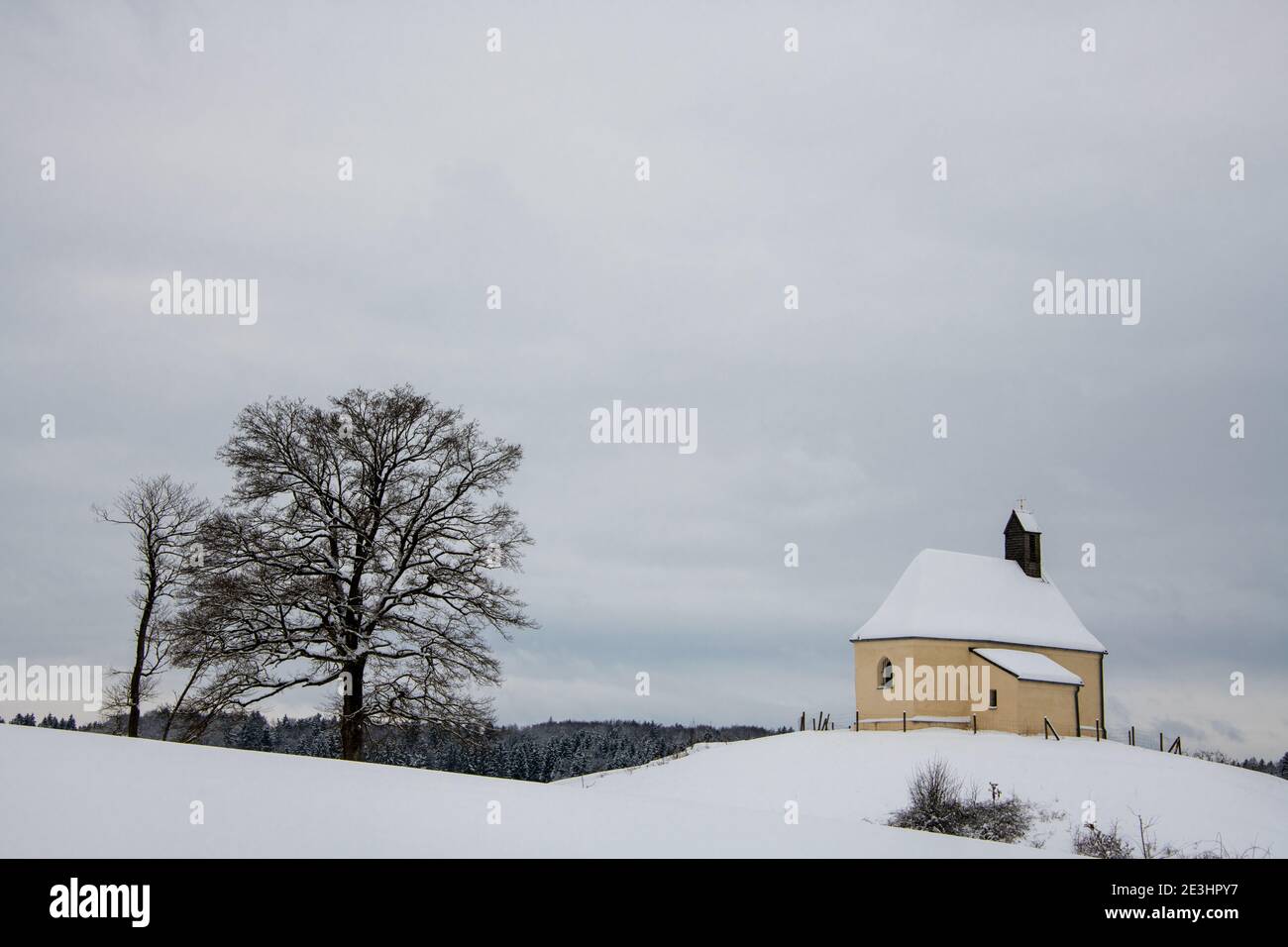 All'aperto inverno panoramico in una giornata fredda e nevicante Europa centrale Foto Stock