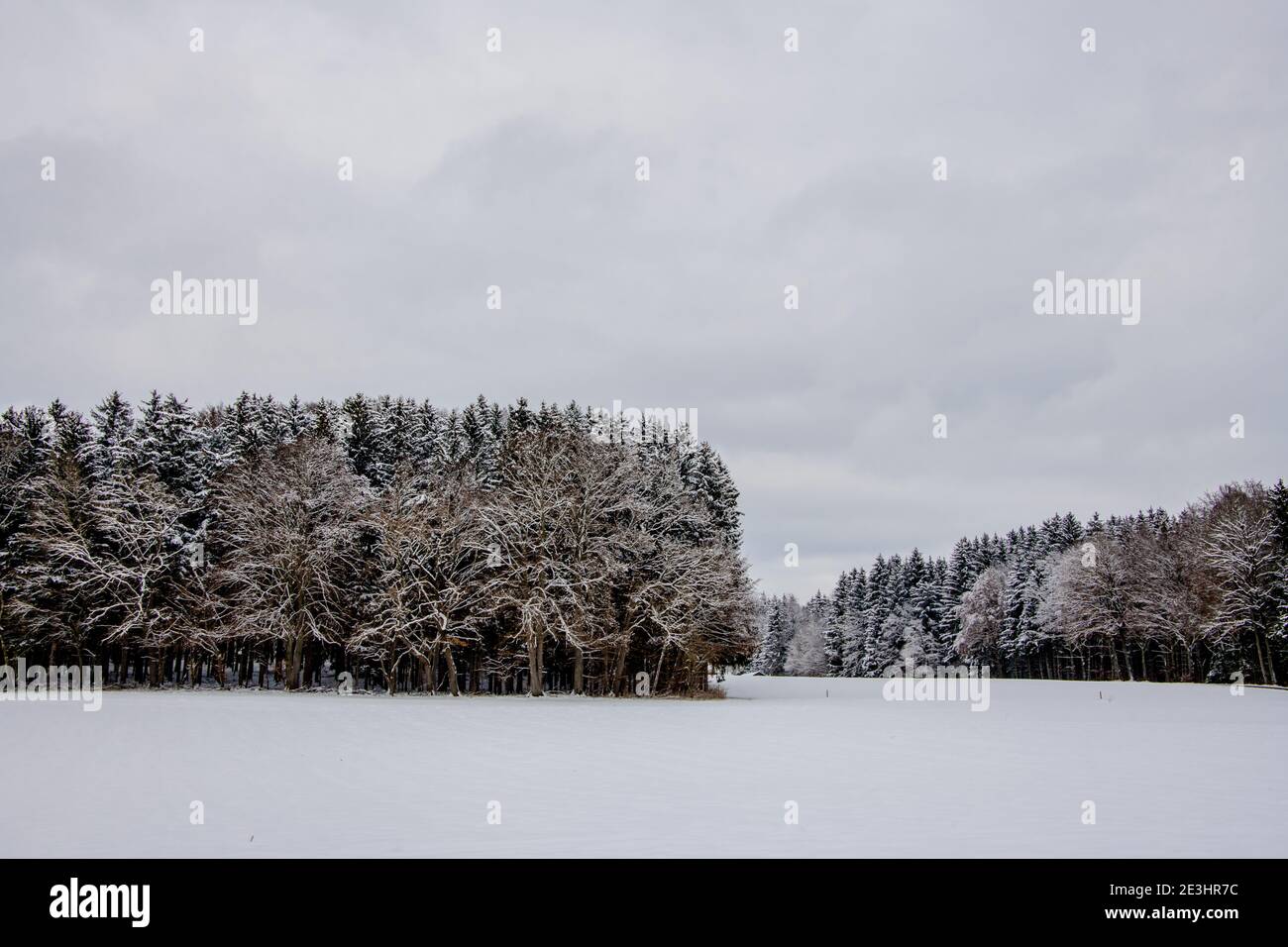 All'aperto inverno panoramico in una giornata fredda e nevicante Europa centrale Foto Stock