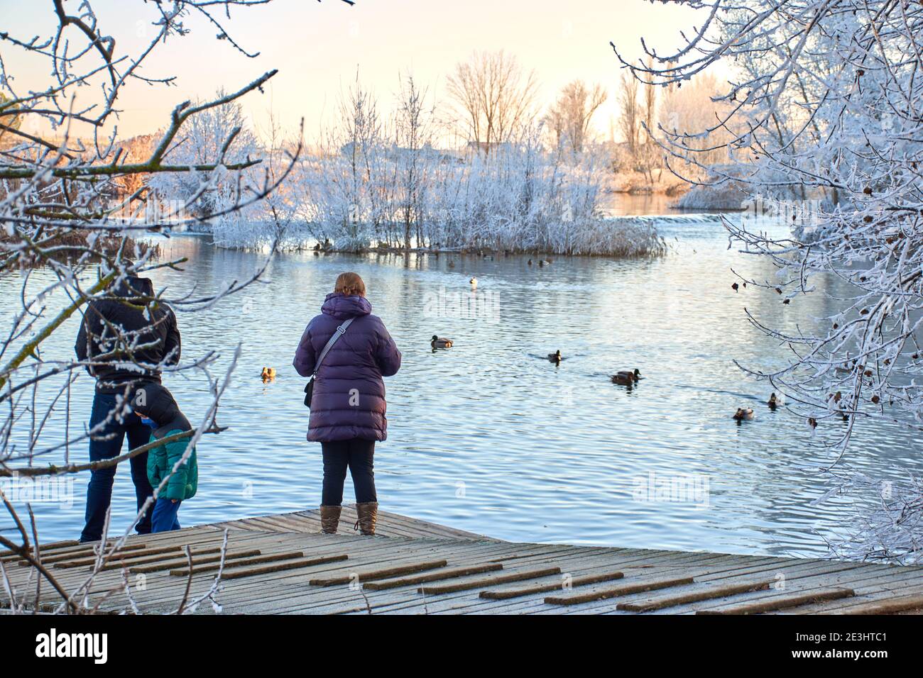 Famiglia su un molo di legno che chiama le anatre per nutrirle. Riva del fiume in inverno coperta di ghiaccio con la gente Foto Stock