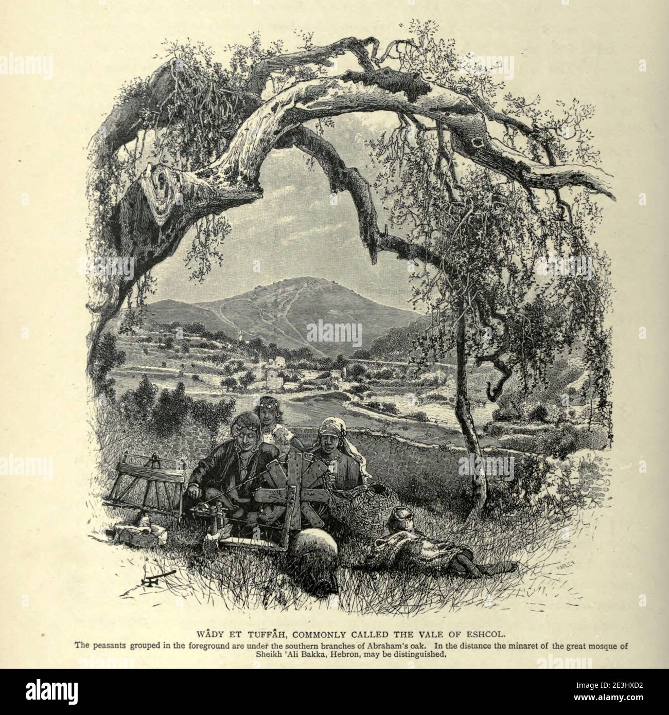 WADY ET TUFFAH, COMUNEMENTE CHIAMATO VALE DI ESHCOL [ESHKOL]. I contadini raggruppati in primo piano si trovano sotto i rami meridionali della quercia di Abramo. In lontananza si può distinguere il minareto della grande moschea di Sheikh 'Ali Bakka, Hebron. Incisione in legno di 'pittoresca Palestina, Sinai ed Egitto' di Wilson, Charles William, Sir, 1836-1905; Lane-Poole, Stanley, 1854-1931 Volume 3. Pubblicato in da J. S. Virtue e Co 1883 Foto Stock