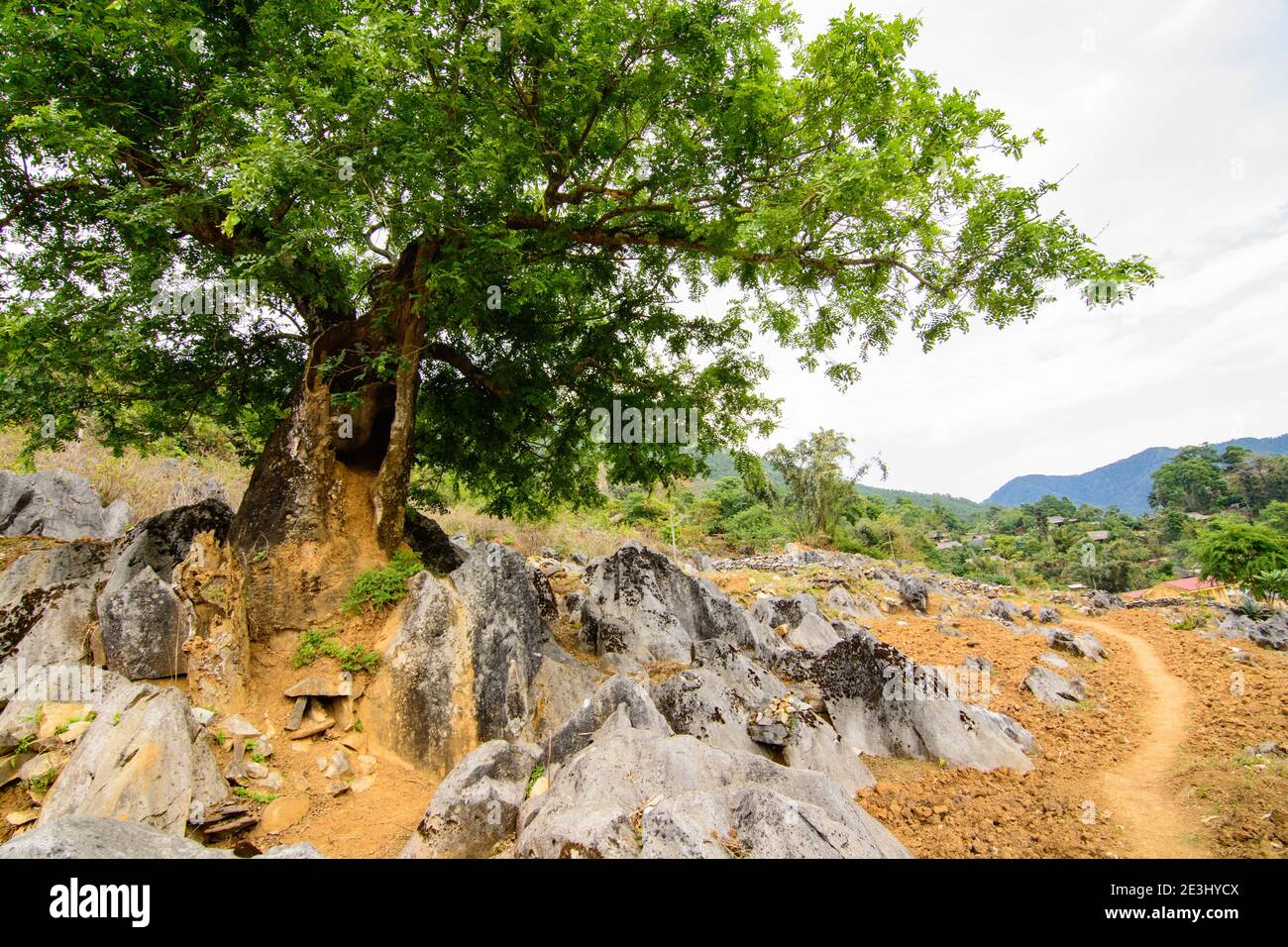 Foto dell'altopiano di Tua Chua, distretto di Tua Chua, provincia di Dien Bien, Vietnam Foto Stock