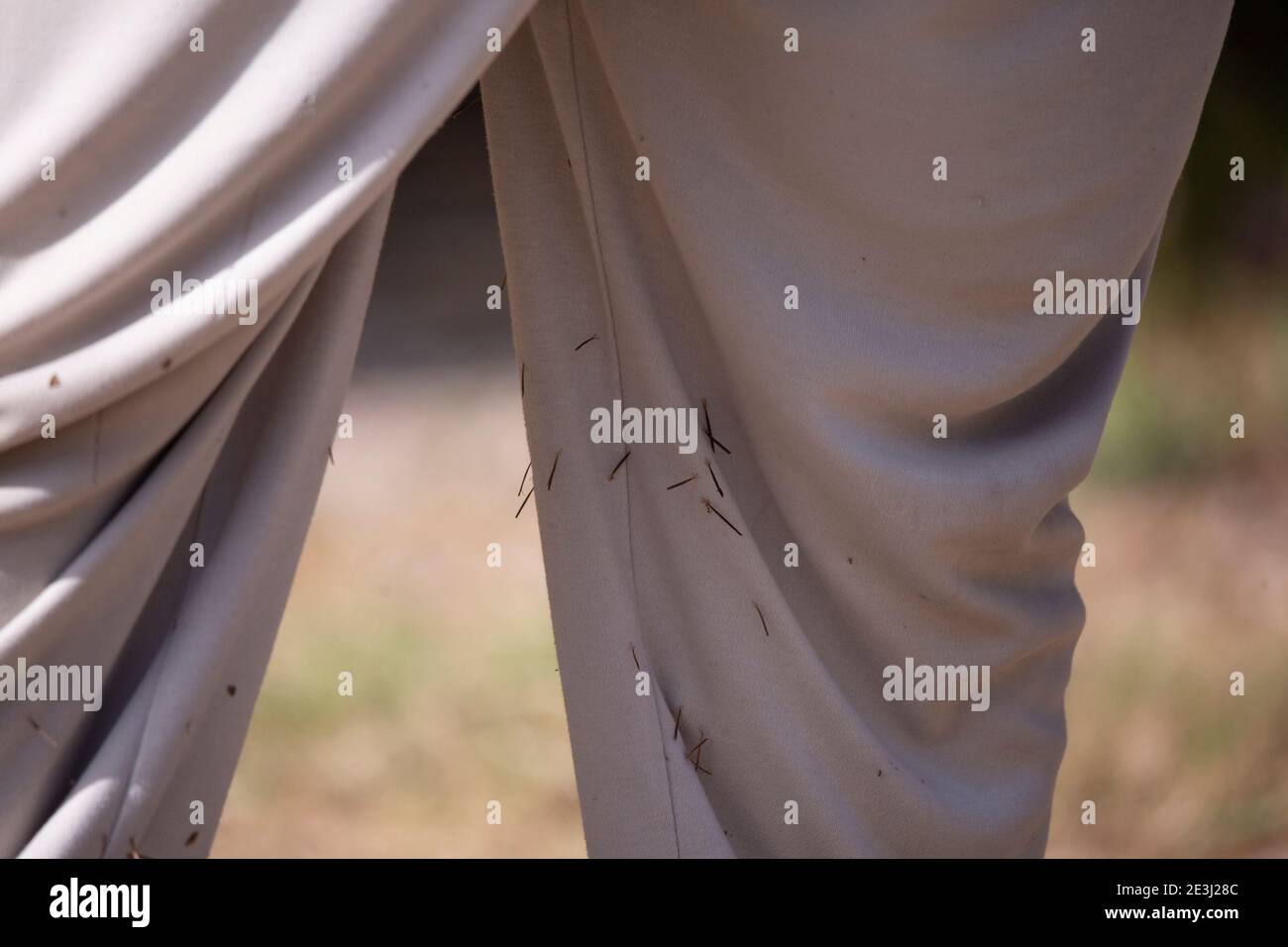 Primo piano di adesivi che coprono i pantaloni di una persona Foto Stock
