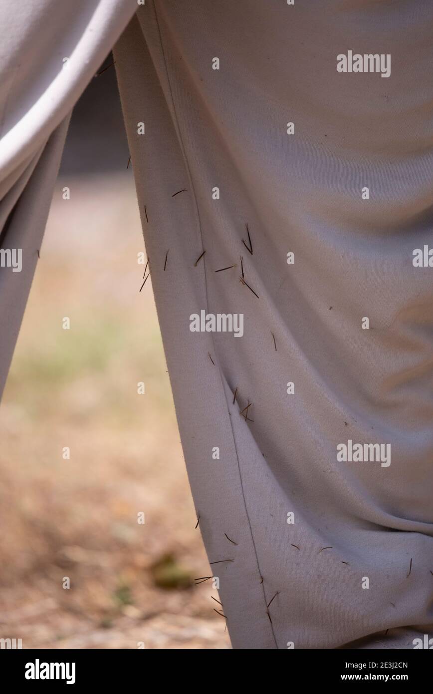 Primo piano di adesivi che coprono i pantaloni di una persona Foto Stock