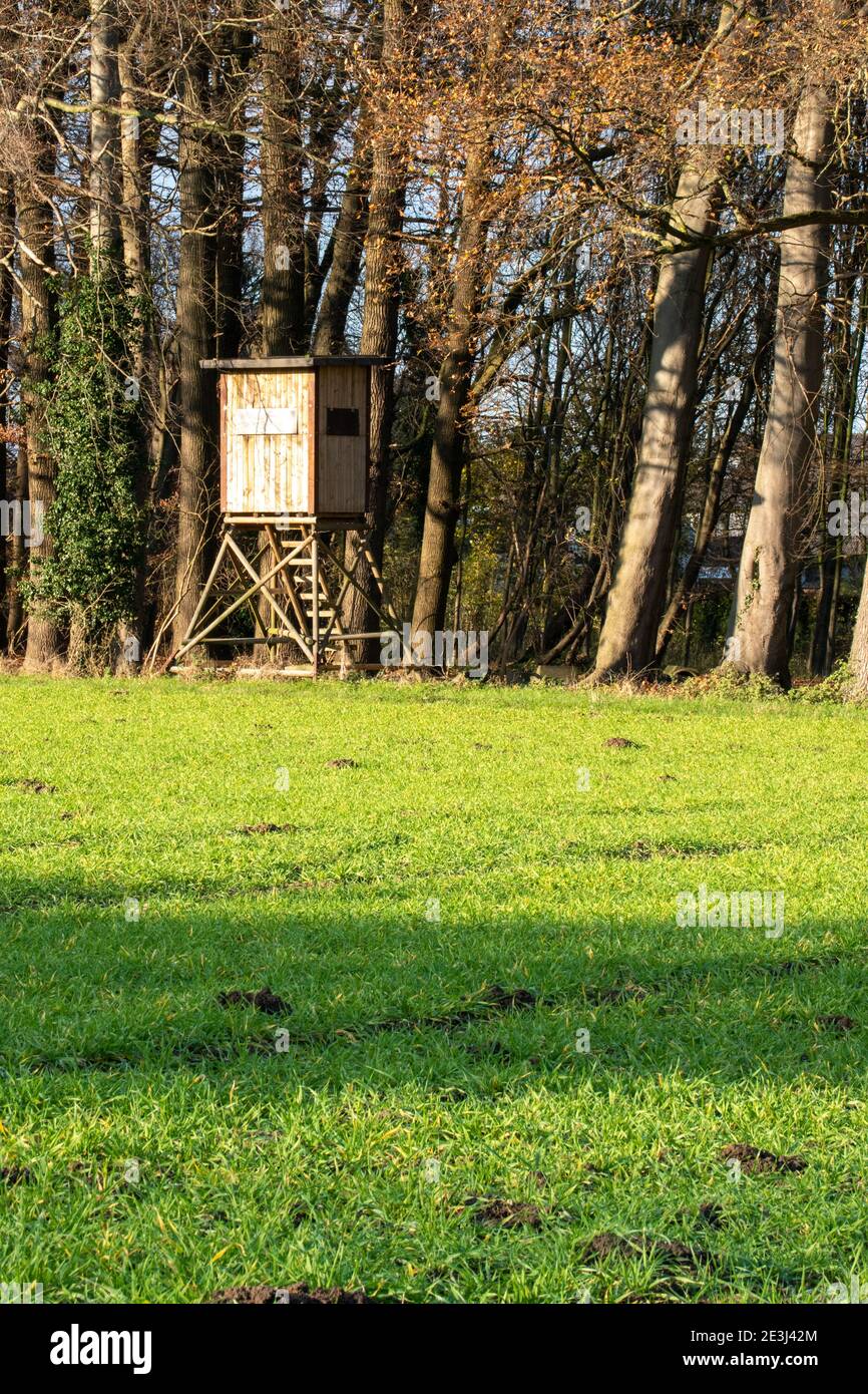 Pelle in legno rialzata ai margini della foresta come una pelle per i cacciatori e per l'osservazione degli animali. Foto Stock