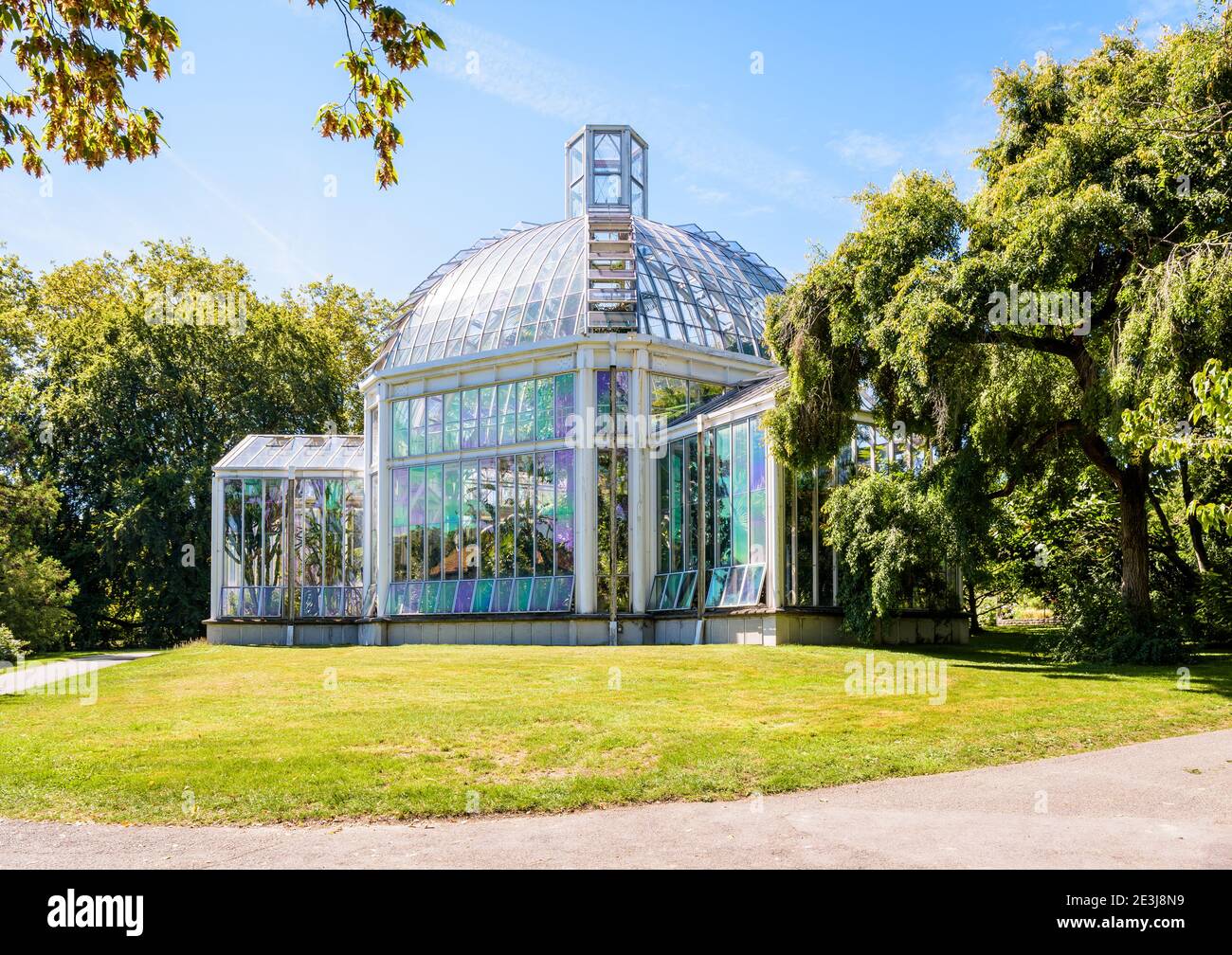 Retro della serra temperata nel Conservatorio e Giardino Botanico di Ginevra che ospita piante di clima mediterraneo da tutto il mondo. Foto Stock