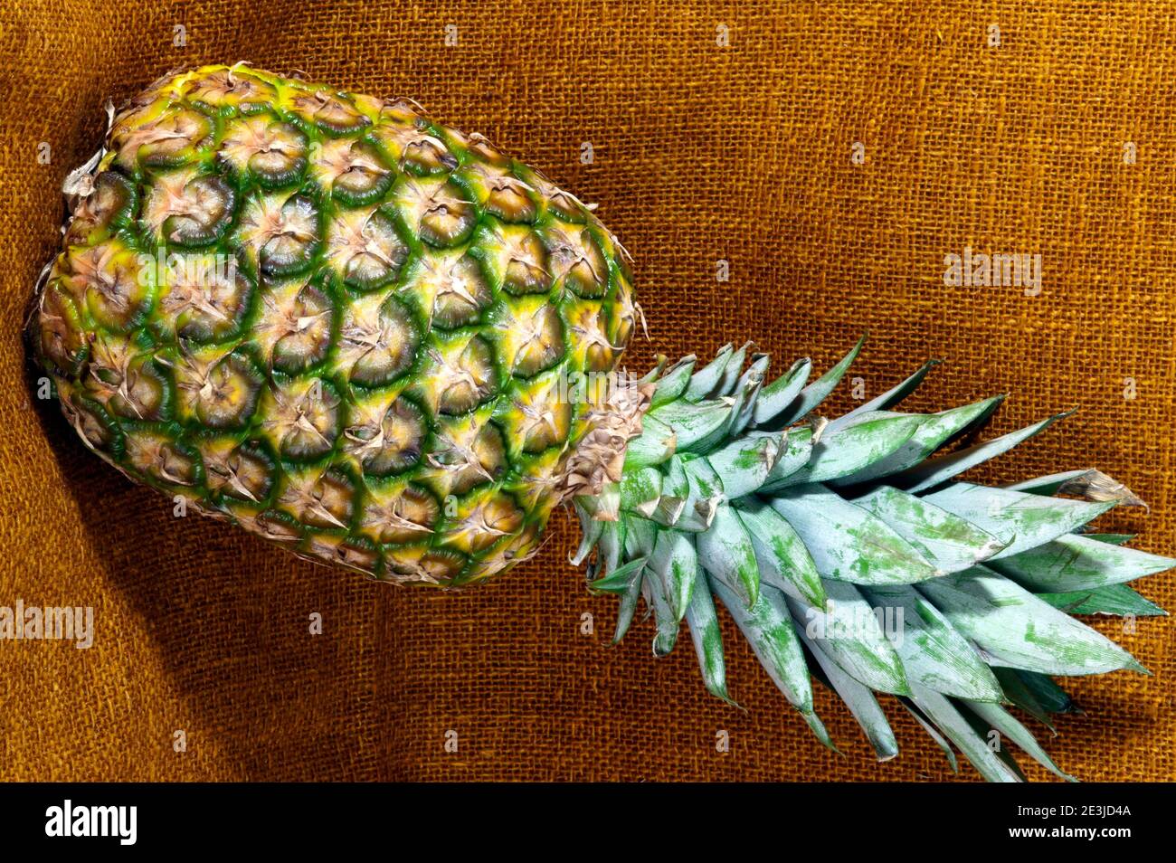 Ancora vita, primo piano, di un ananas su un fondo tessile Foto Stock