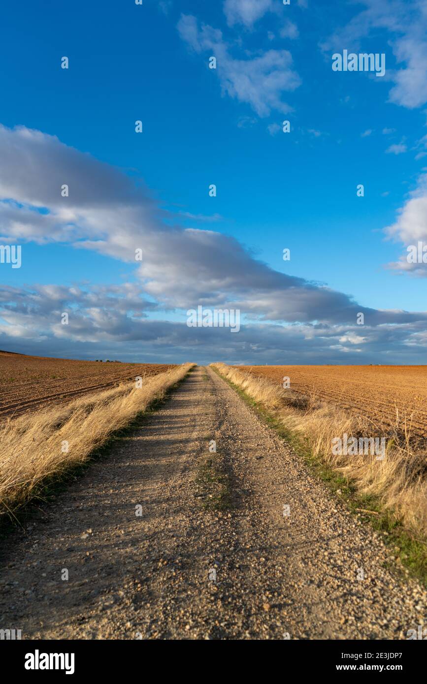 Strada polverosa attraverso un bellissimo paesaggio erboso in Andalusia in Spagna Foto Stock