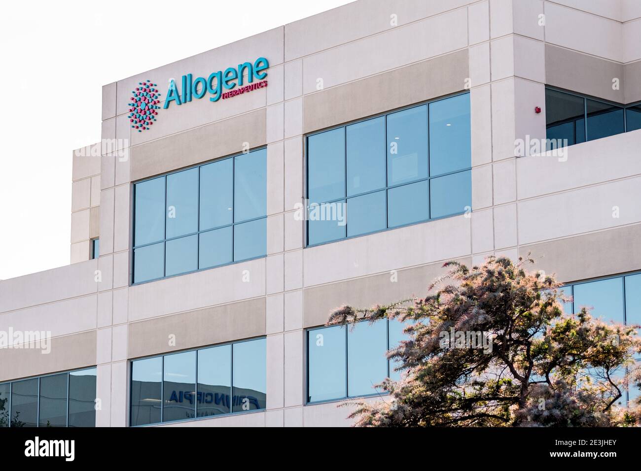 Set 21, 2020 South San Francisco / CA / USA - sede centrale di Allogene nella Silicon Valley; Allogene Therapeutics, Inc. Opera come azienda di biotecnologia Foto Stock