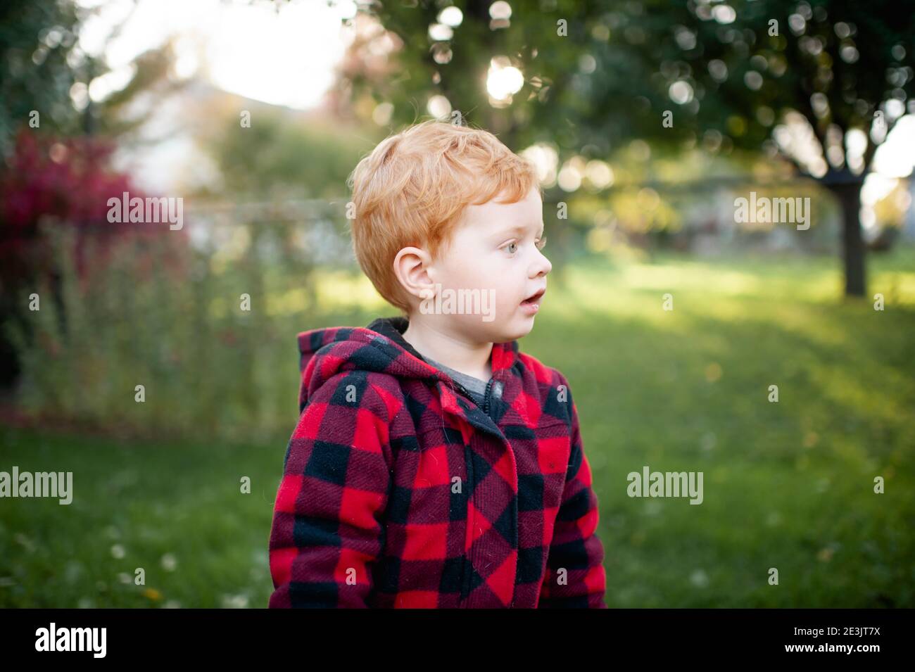 Bambino di 3-4 anni che guarda via in cortile che indossa cappotto autunnale Foto Stock