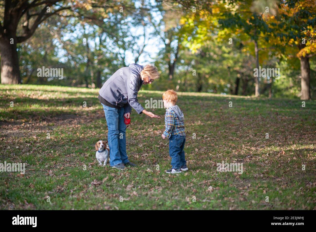 Nonna che mostra Grandson qualcosa mentre su una passeggiata in parcheggio Foto Stock