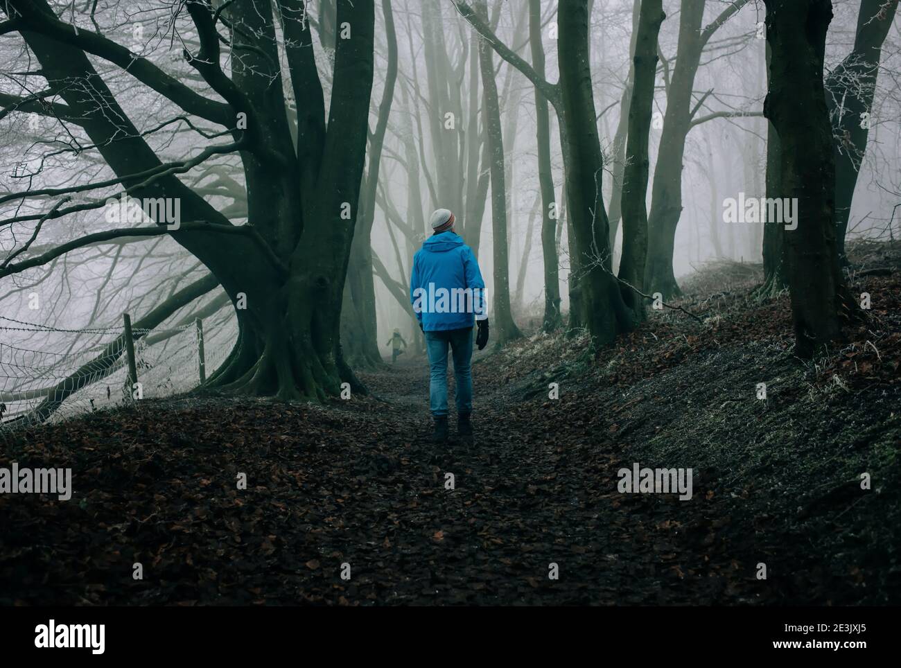 Uomo che cammina attraverso una foresta inglese oscura in inverno con i suoi figli Foto Stock
