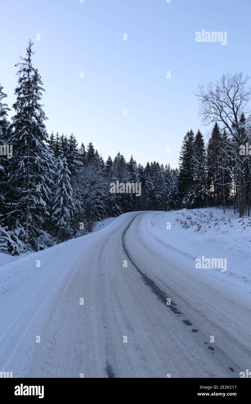 Strada forestale in inverno Foto Stock