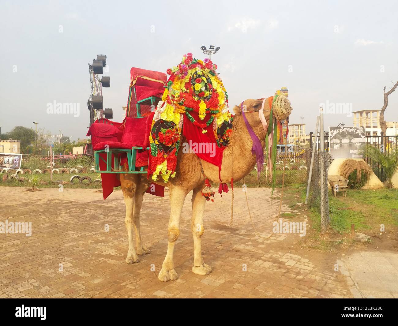 Escursione in cammello vista lago Islamabad Foto Stock