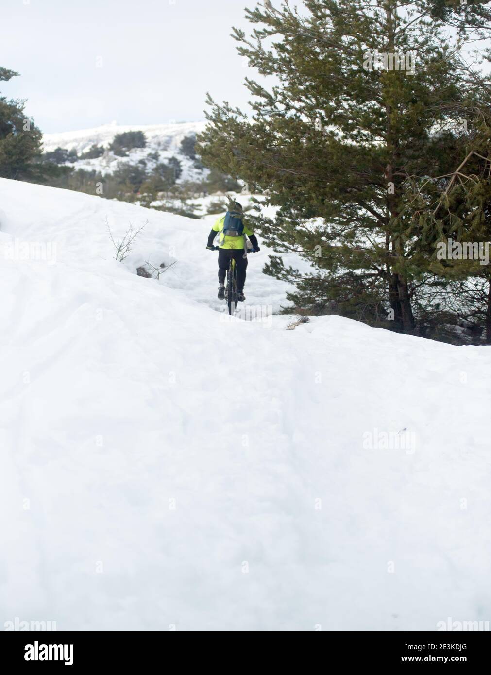 Escursioni in mountain bike nella neve in inverno Foto Stock