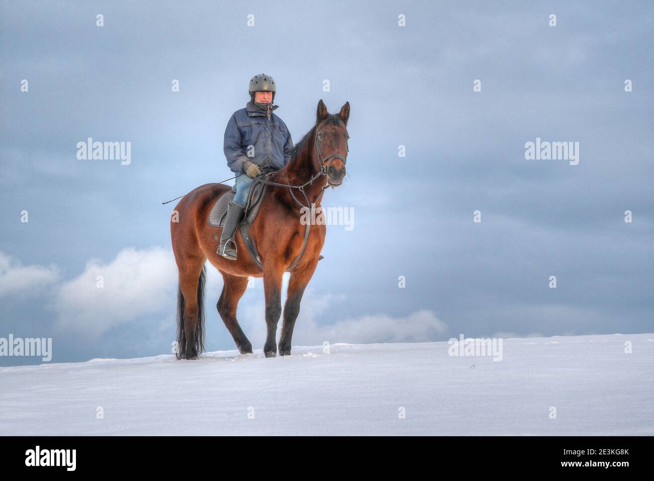 In inverno, un solista si erge su una collina in un prato innevato. Sullo sfondo ci sono nuvole scure nel cielo. Foto Stock