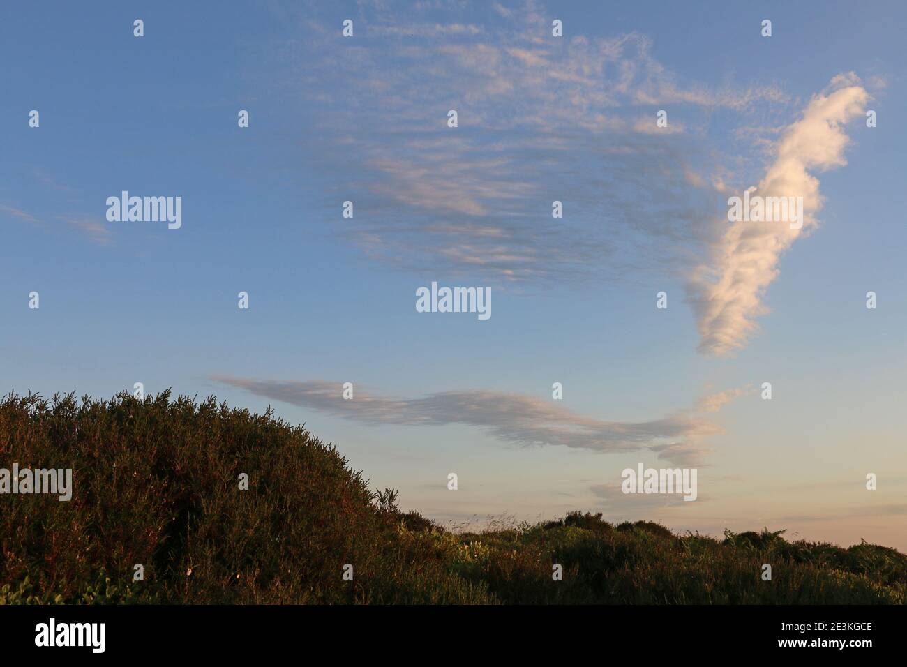 Estate sera Wishy cirrus nuvole in un cielo blu crepuscolo sul paesaggio Shropshire, Regno Unito Foto Stock