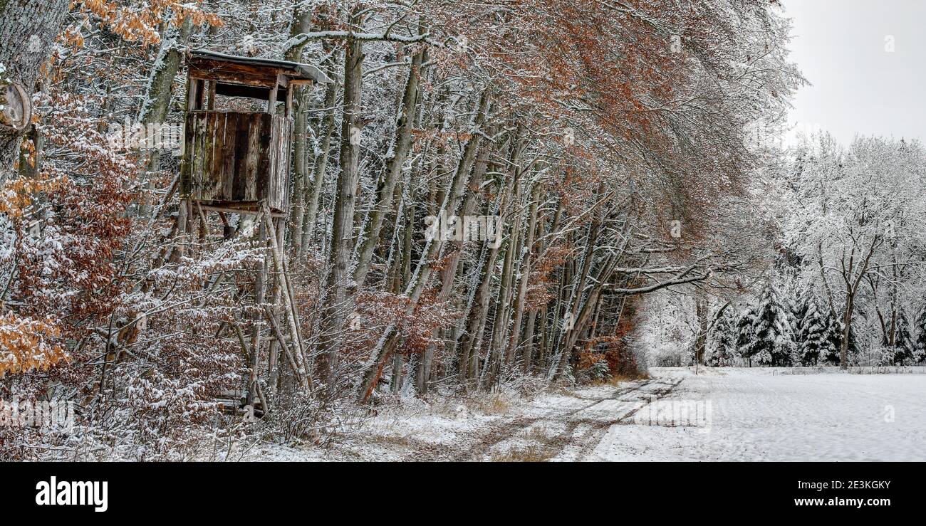 Inverno nel terreno di caccia, il pulpito di caccia si erge solitario e desertato sotto alberi innevati ai margini della bella foresta decidua Foto Stock