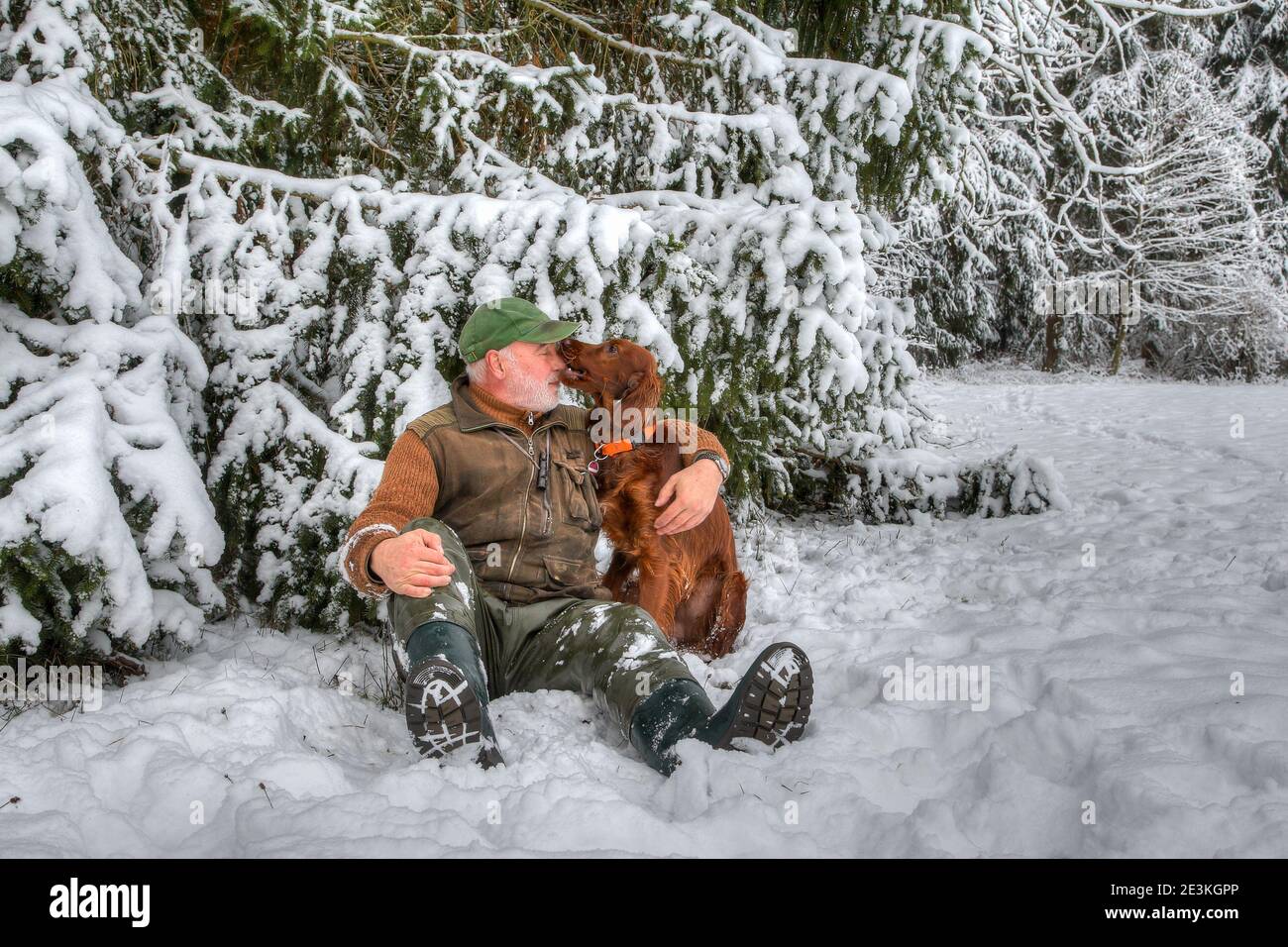 Amici stretti. Nella foresta invernale innevata un cacciatore anziano si siede nella neve con il suo giovane cane da caccia Irish Setter ed è dolorosamente morso nei nos Foto Stock