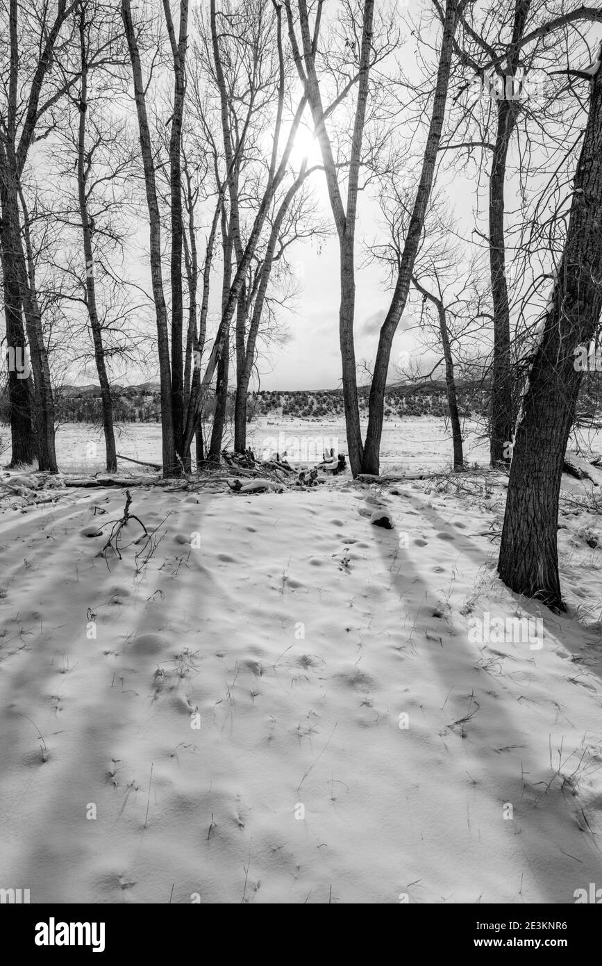 Vista in bianco e nero dei cieli delle tempeste; neve fresca sui pascoli; ranch del Colorado centrale; Salida; USA Foto Stock