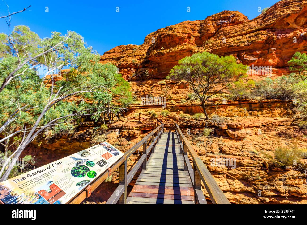 Kings Canyon, Northern Territory, Australia - 21 agosto 2019: Informazioni interpretative sulla passerella sul Garden of Eden nel Parco Nazionale di Watarrka Foto Stock