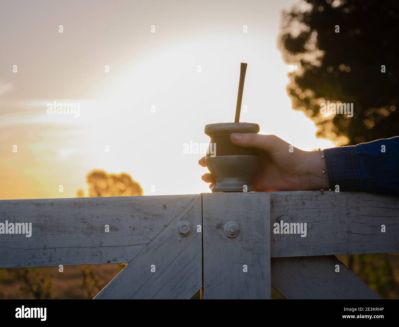 mano sta tenendo un compagno al tramonto Foto Stock