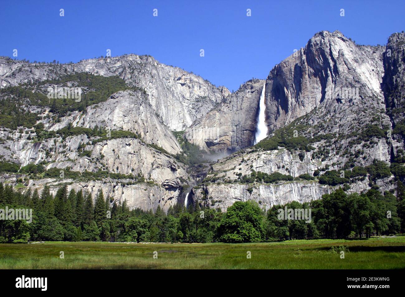 Cascate di Yosemite su prato, Yosemite National Park, California, Stati Uniti Foto Stock