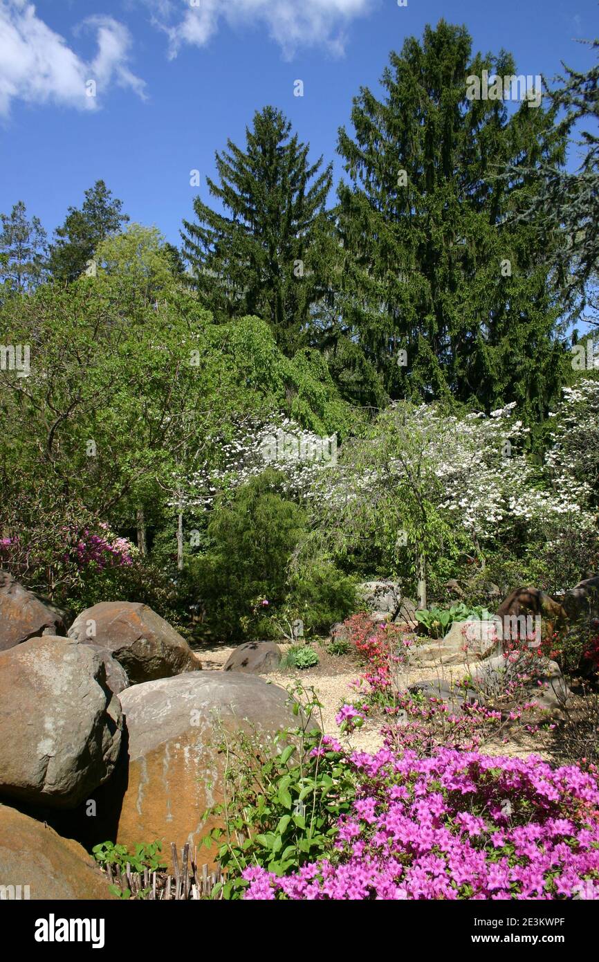 Giardini botanici di Sayen, Hamilton, NJ, Stati Uniti Foto Stock