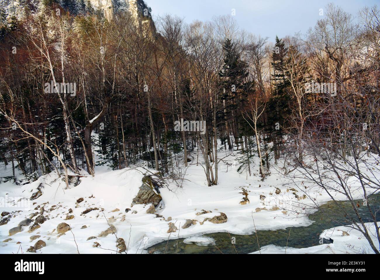 Paesaggi innevati lungo il fiume Ishikary vicino alle cascate Ryusei e Ginga a Sounkyo, Hokkaido, Giappone. Foto Stock