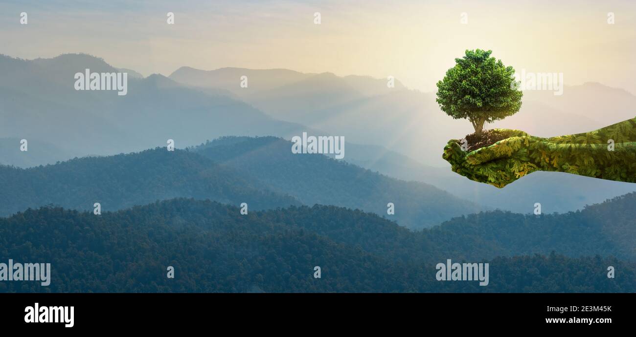 World Environment Day Concept: Mani che tengono un grande albero su cielo e sfondo di montagna. Foto Stock