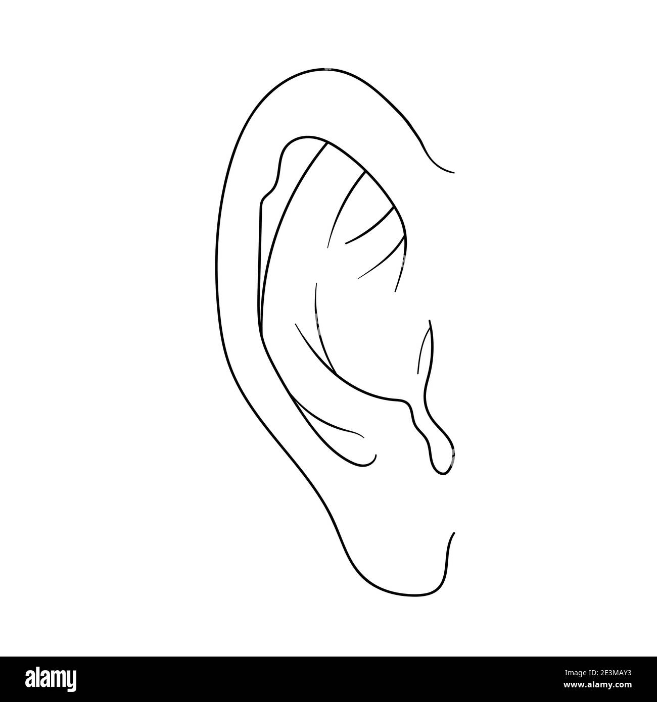 Simbolo di schizzo dell'orecchio disegnato a mano. Elemento di ascolto  vettoriale in stile doodle isolato su bianco Immagine e Vettoriale - Alamy